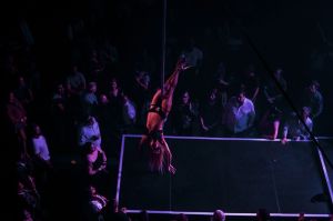 benji 2019 3 20190929