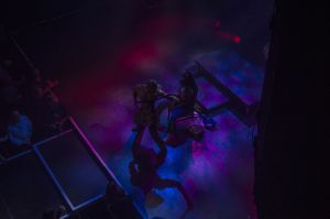 benji 2019 5 20190929