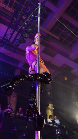 2308260037 dudewithdahshoes